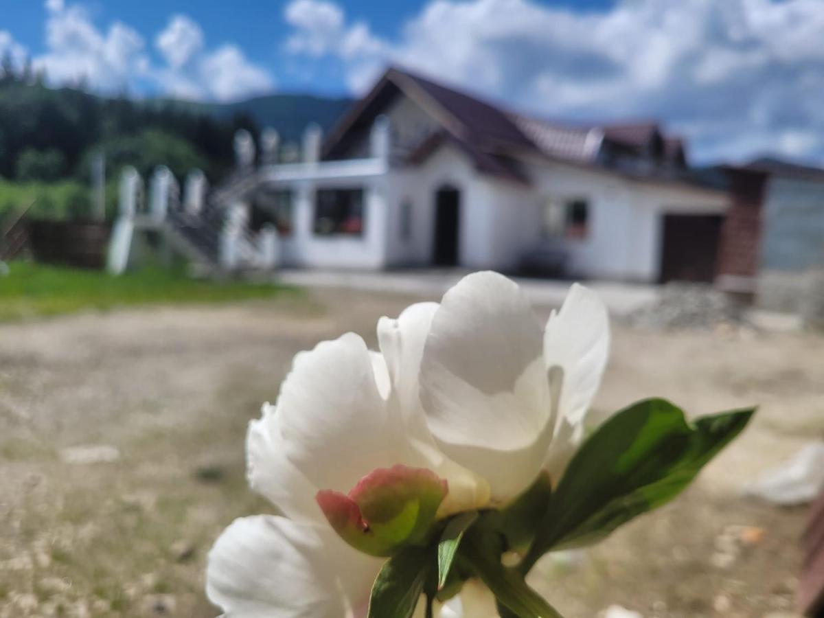 Poarta Zaganului Cheia Hotel Kheja Kültér fotó