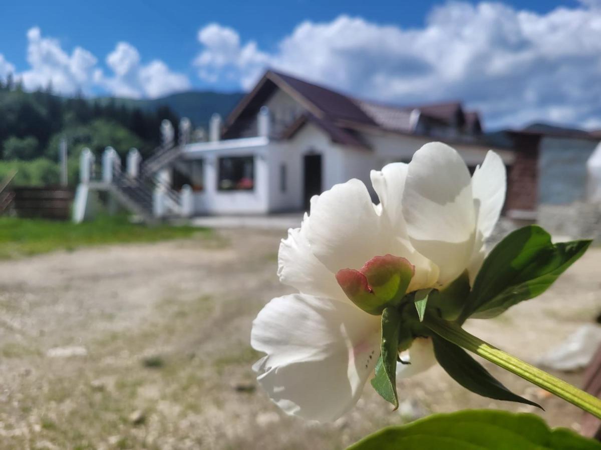 Poarta Zaganului Cheia Hotel Kheja Kültér fotó